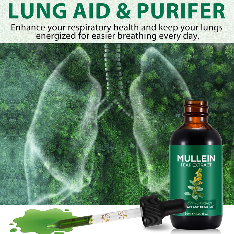 Mullein Drops for Lungs, Mullein Leaf Extract Supplement, Natural Mullein Herbal Supplements, Mullein Leaf Extract for Lung Cleanse and Respiratory Support - 2.02 fl oz 60 ml (Pack of 1)