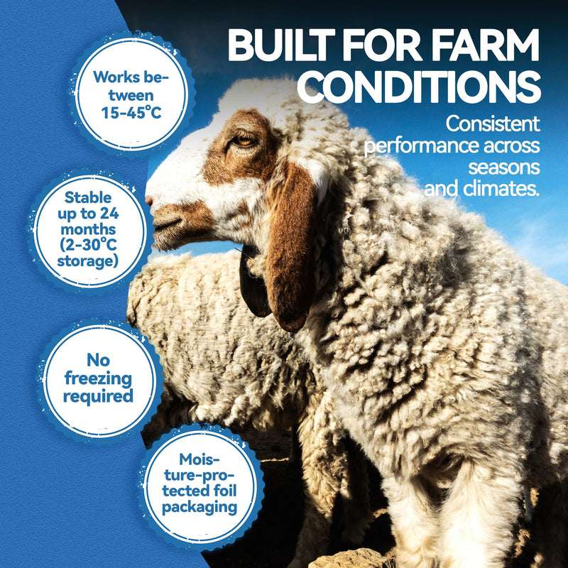 Sheep/Ovine/Goat Early Pregnancy (PAGs) Rapid Test Kit - 5 Tests, Hormones (PAGs), Whole Blood/Serum/Plasma Testing, Detect Pregnancy as Early as 28 Days Post-Breeding