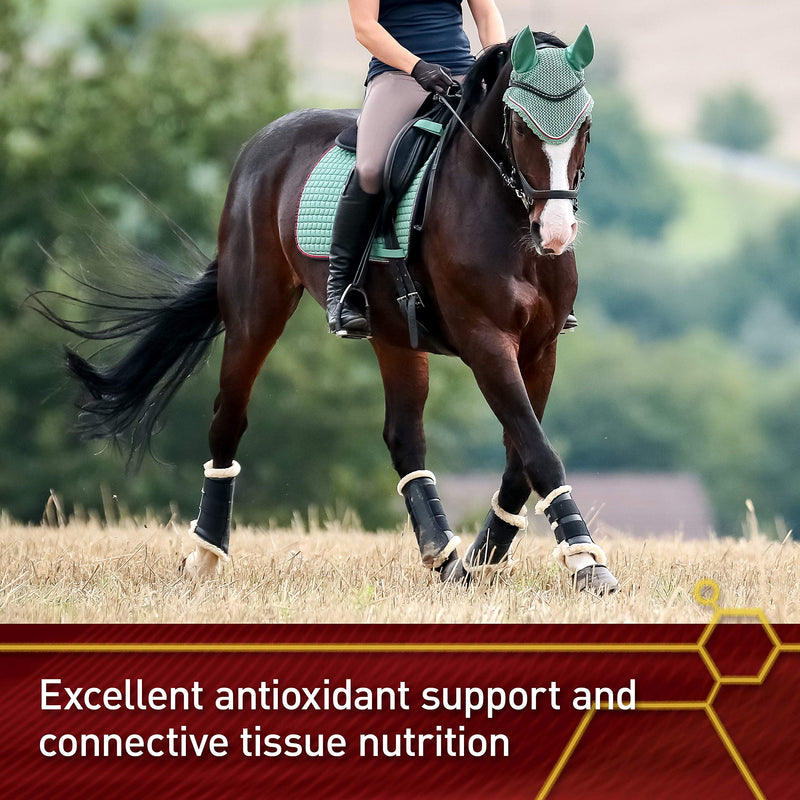 Vita Flex Pro Pure C Antioxidant Supplement, 2 lb, 128-Day Supply | Premium Quality Horse Vitamin C Supplement, Collagen Support for Horses, Antioxidant and Connective Tissue Support