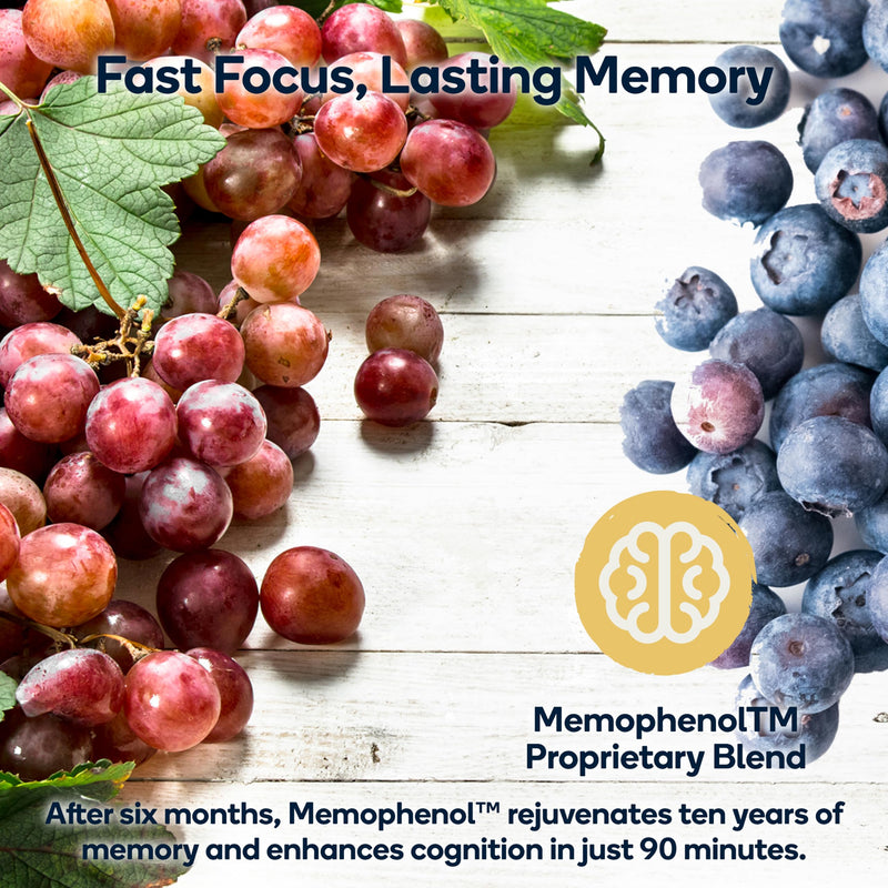 [Australia] - Focus - Premium Cognitive Enhancement Supplement with Natural Nootropics - Memophenol, Bacopa, & DMAE - 60 Veggie Capsules (Focus) Focus 1 Count (Pack of 60) 