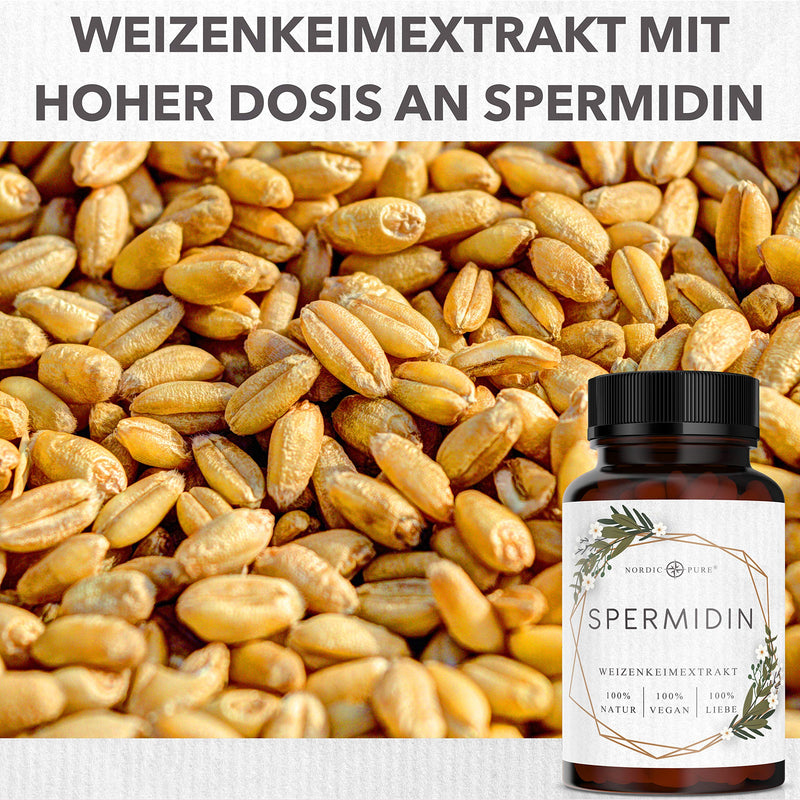 [Australia] - Spermidine capsules high dosage | 5mg per capsule | Natural wheat germ extract with high spermidine content | 90 vegan spermidine capsules | New formula 