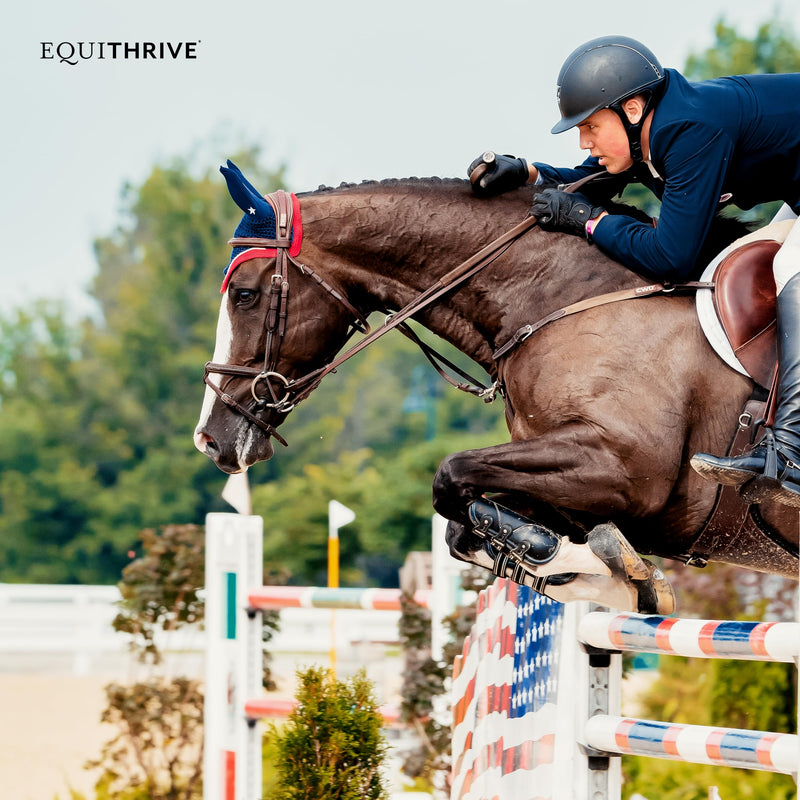 Equithrive Horse Electrolyte Pellets, Vitamins and Minerals Supplement, Equine Feed Supplies for Training and Competition, .5 lbs, 3 Day Supply 0.5 lbs - PawsPlanet Australia