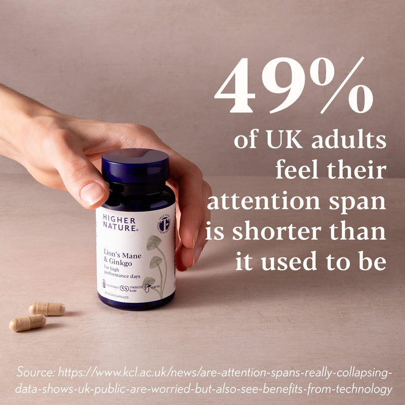 Higher Nature - Lion's Mane & Ginkgo - for High Performance Days - True Food® Formula - High Strength Ginkgo Biloba 6000mg & Lion's Mane Mushroom 3000mg - Vegan Formula - 30 Capsules