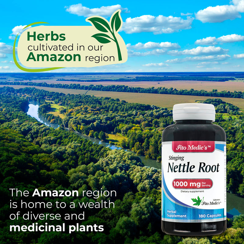 [Australia] - FITO MEDIC'S Lab - Stinging nettle root, 180 capsules - stinging nettle -Pure Extract 1000mg per serving, ortiga. 