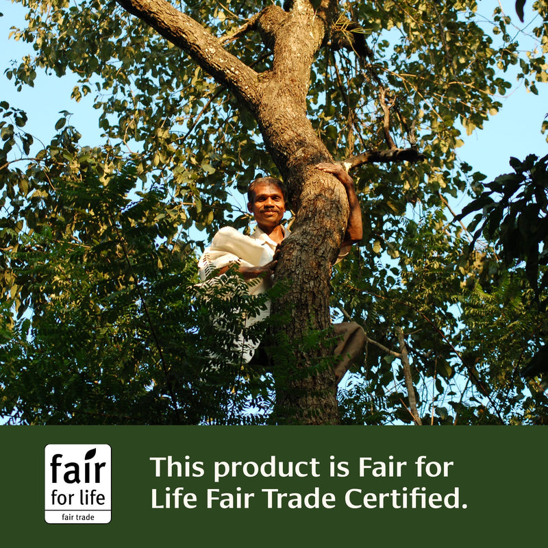 [Australia] - Banyan Botanicals Haritaki tablets – Certified Organic Terminalia Chebula – Supports Detoxification & Rejuvenation* – 90 Tablets – Non-GMO Sustainably Sourced Certified Fair for Life Fair Trade 