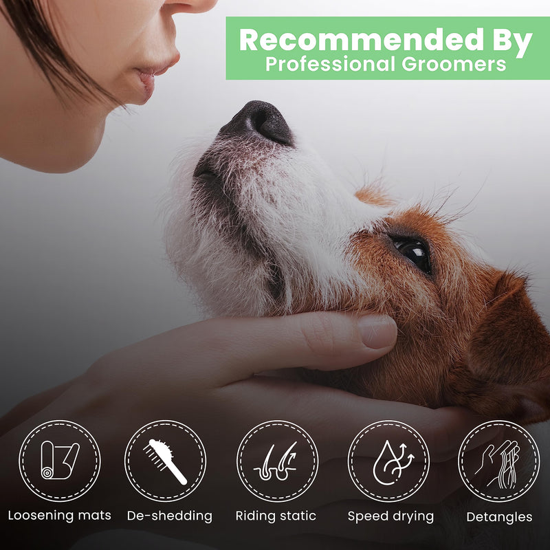 Best Shot Scentament Spa Botanical Body Splash, Body Spray for Pets, Cat and Dog Cologne Spray, Lavender Aloe, 8 Oz. - PawsPlanet Australia