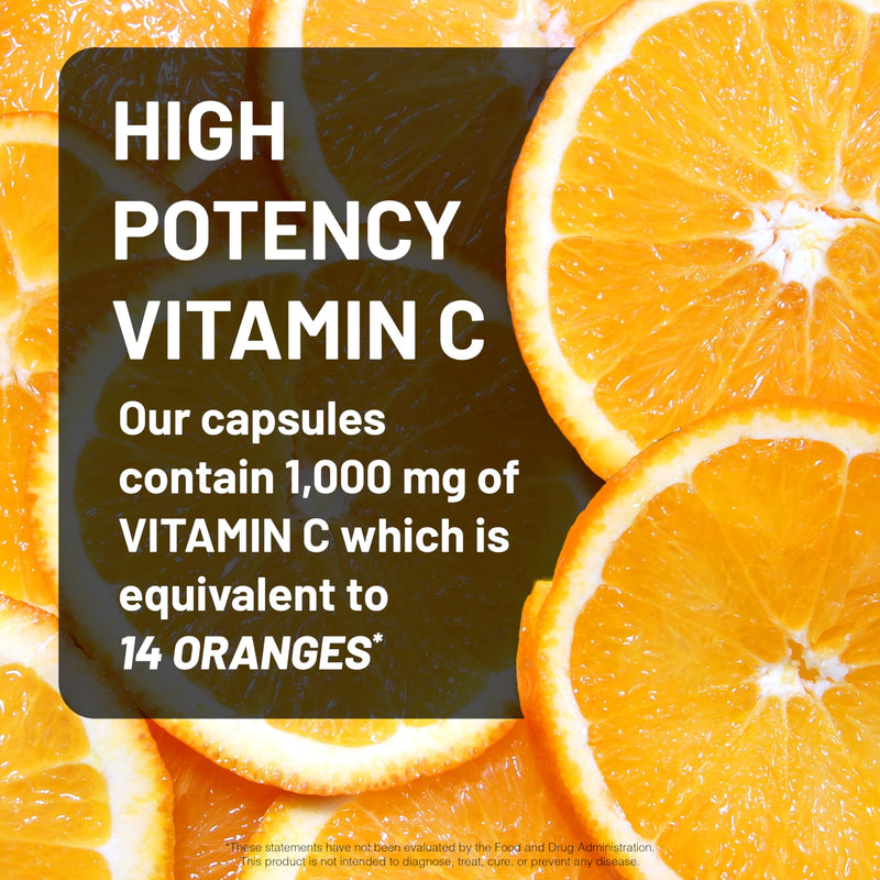 NatureWise Vitamin C 1000mg Capsules - Extra Strength Vegan Vitamin C for Daily Antioxidant & Immune Support - Non-GMO, USA Manufactured - 360 Capsules[360-Day Supply] Unflavored 360 Count (Pack of 1)