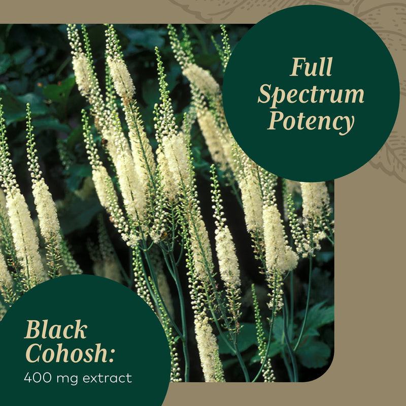 [Australia] - Gaia Herbs Pro Black Cohosh - Herbal Supplements for Menopause Support - Supports Hormone Balance for Women - with Black Cohosh - 60 Vegan Liquid Phyto-Capsules (60 Servings) 