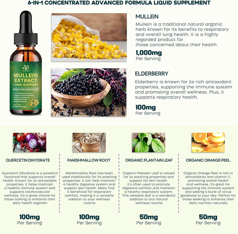 [Australia] - 5-in-1 Mullein Drops for Lungs - Mullein Leaf Extract for Lungs Detox and Respiratory Lung Health - Mullein Tincture with Elderberry, Marshmallow & Ginger Root for Bronchial Support - 60 Servings 