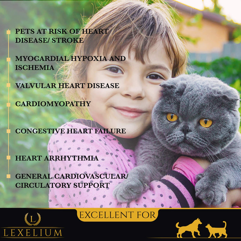 Heart Supplement for Dogs and Cats - Provides Cardiovascular & Circulatory Support & Keeps Hearts Healthy with Taurine – Optimizes Heart Function & Circulation - Easy to Mix Powder - 200g - PawsPlanet Australia