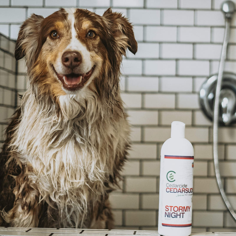 Cedar Suds Pet Shampoo Original Cedar Scent (Pint (16oz)) - PawsPlanet Australia