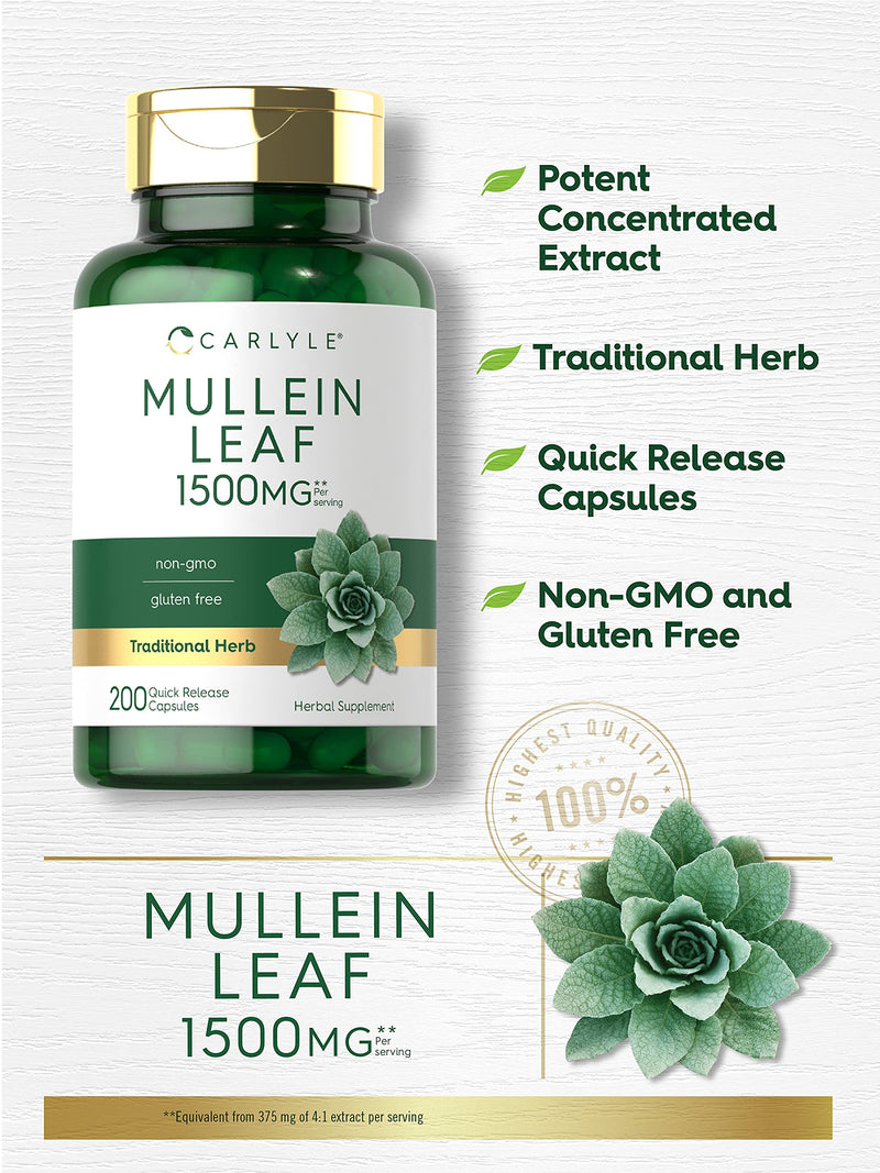 Carlyle Mullein Leaf Extract 1500mg | 200 Capsules | Verbascum Thapsus | Non-GMO, Gluten Free Supplement