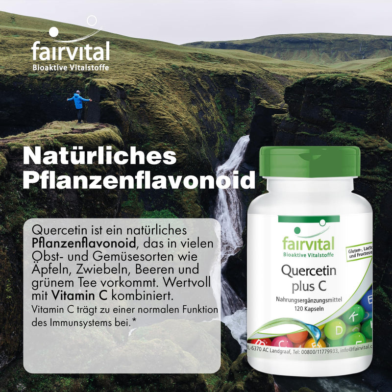 [Australia] - Fairvital | Quercetin capsules with vitamin C - 120 capsules - HIGH DOSE - 250mg quercetin plus 300mg vitamin C per capsule - VEGAN - antioxidant 