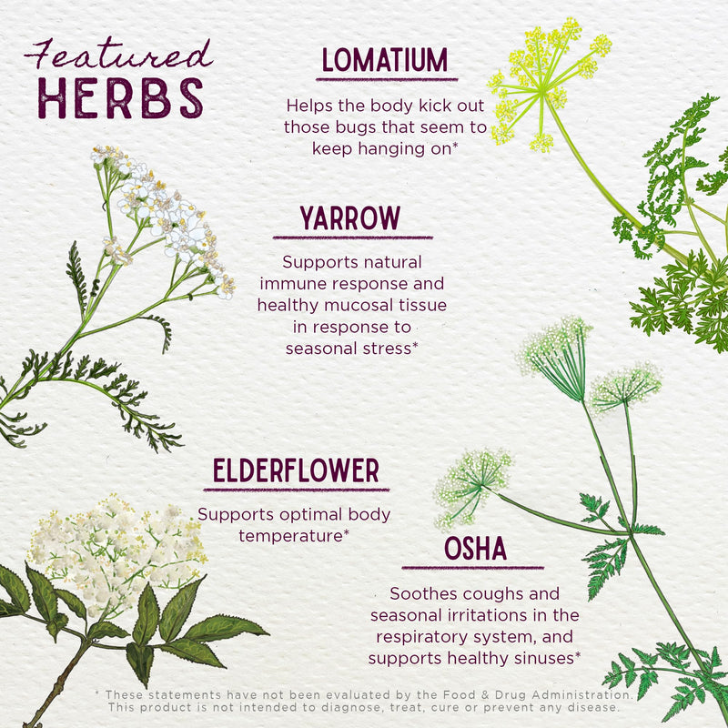 [Australia] - WishGarden Herbs Serious V-Fighter - Plant-Based Herbal Rapid Immune Support & Respiratory Health with OSHA & Goldenseal, Soothes Aches & Irritated Lungs, Supports Optimum Body Temperature, 4oz 4 Fl Oz (Pack of 1) 