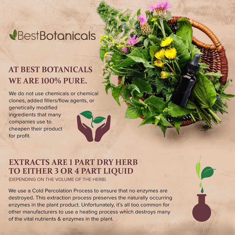 [Australia] - Best Botanicals Goldenseal Root Powder 4 oz. 4 Ounce (Pack of 1) 