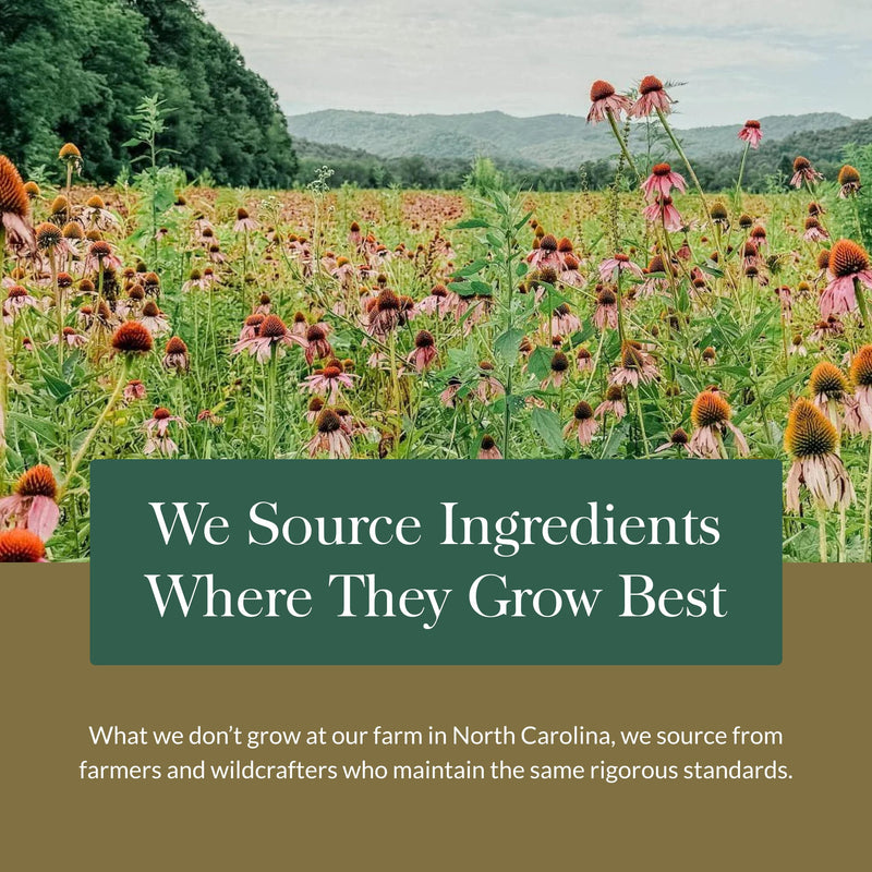 [Australia] - Gaia Herbs Gut Revival - Herbal Digestive Supplement to Support Gut Health - Made with Astragalus, Gotu Kola, Jujube & More - Free from Dairy, Soy & Gluten - 60 Vegan Capsules (60 Servings) 