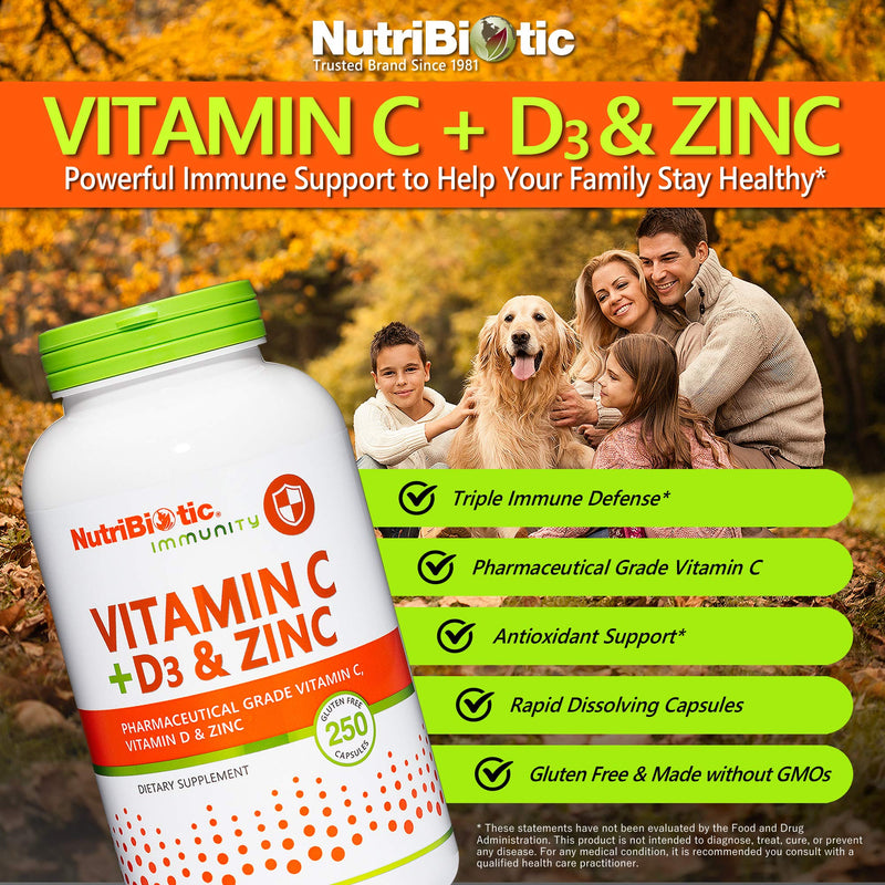 NutriBiotic – Vitamin C + Vitamin D3 & Zinc, 250 Capsules | Potent, Comprehensive Immune Support | Essential & Antioxidant Daily Supplement | Gluten & GMO Free 250 Count (Pack of 1)