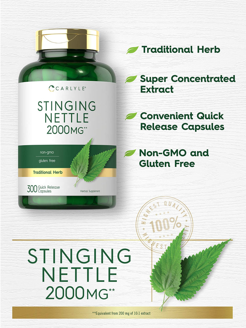 Carlyle Stinging Nettle Leaf Extract 2000mg | 300 Capsules | Non-GMO & Gluten Free Supplement