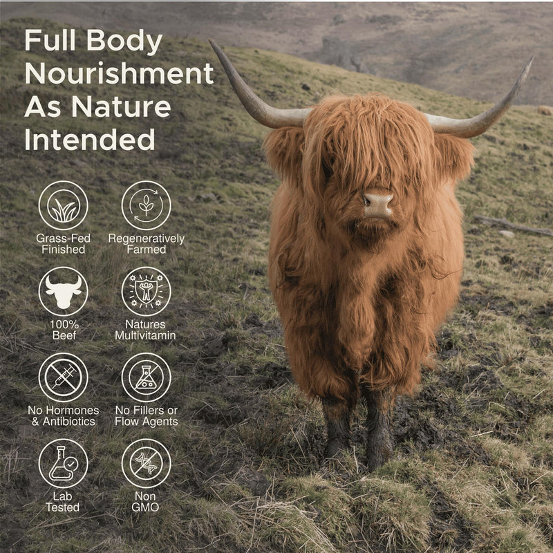 100% Grass Fed Beef Liver Capsules 180 x 500mg – Premium Desiccated Beef Liver Supplements - Pasture Raised in New Zealand - High Protein - Ancestral Nutrition - UK Made, No GMO, Hormones, Antibiotics 1