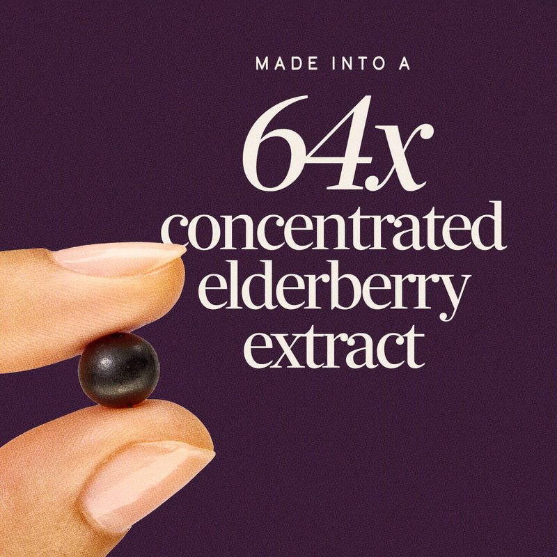 Nature's Way Sambucus Elderberry Gummies for Immune Support* Ages 4+, 60 ct | Immune Gummy with Black Elderberry Extract, Vitamin C, D3, Zinc, and Superfood Antioxidants*, Adults & Kids Ages 4+ 60 Count (Pack of 1)