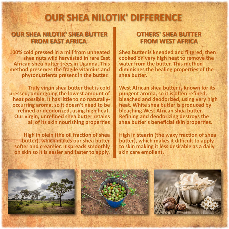 Shea Terra - Cold-Pressed Virgin Shea Butter, Marrakesh Menthe Vanilla | Anti-aging daily moisturizer for dry skin, nails & hair. Softens hydrates & helps reduce the look of stretch marks & wrinkles