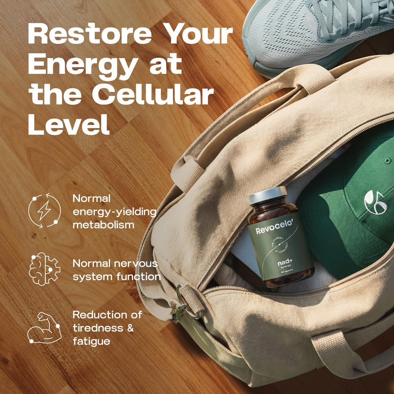 NAD+ Synergy - Multi-Action 4-in-1 NR System with Liposomal Delivery - 98% Pharmaceutical-Grade Purity - Made in EU - 2 Month Supply