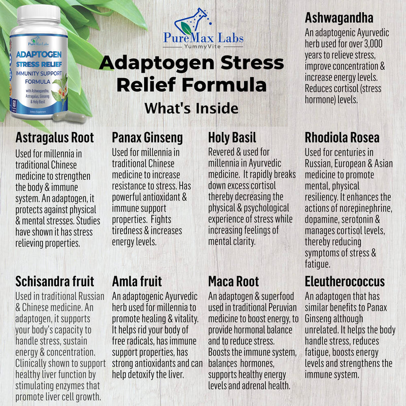 [Australia] - Adaptogen Stress Relief Immune Support Formula - Adaptogenic Adrenal Support with Ashwagandha, Astragalus, Ginseng, Holy Basil, Rhodiola, Amla, Maca, Schisandra, Non-GMO - 60 Capsules 