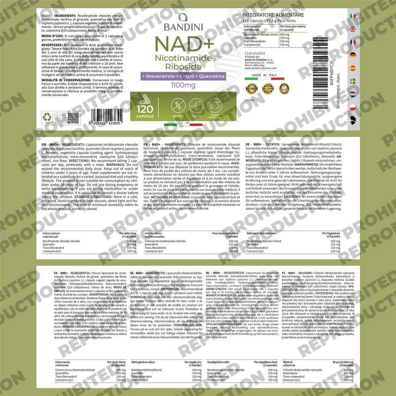 Bandini® Liposomal NAD+ 120 Vegan Capsules | NAD Supplement Nicotinamide Riboside Chloride + Quercetin, Resveratrol, Coenzyme Q10 | Cellular Energy & Healthy Aging Support, 1100mg per dose | Non-GMO