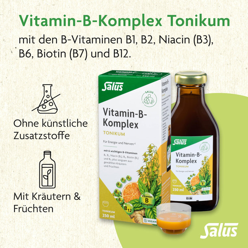 [Australia] - Salus - Vitamin B complex - 1x 250 ml tonic - dietary supplement with B vitamins - for energy and nerves - with 6 important B vitamins - vegan 250 ml (pack of 1) 
