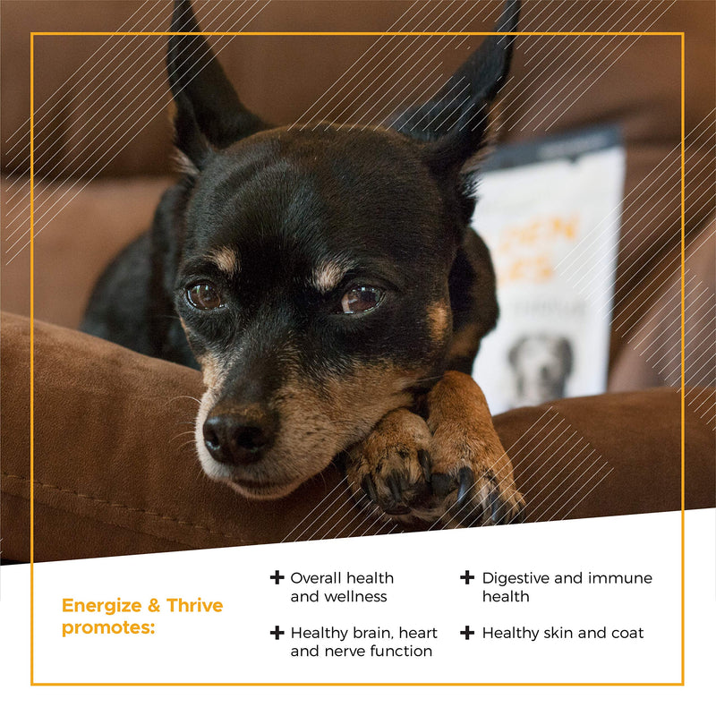 VetriScience Golden Years Energize and Thrive Complete Daily Multivitamin with BCAAs for Senior Dogs, Chicken, 60 Chews - PawsPlanet Australia