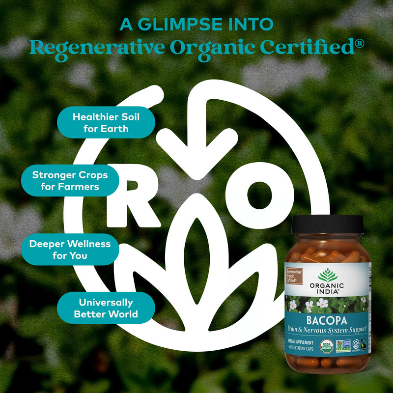 [Australia] - ORGANIC INDIA Bacopa Supplement - Bacopa Monnieri Organic, Brain, Focus, & Memory Support for Women & Men, Ayurvedic Herbs, Non GMO, Fairtrade Certified - 60 Vegan Capsules 