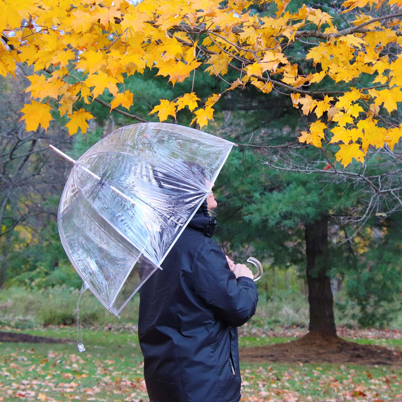 Totes Adult Bubble Umbrella with Dome Canopy and Lightweight Wind and Rain Protection Iridescent - 1pk 51 inches