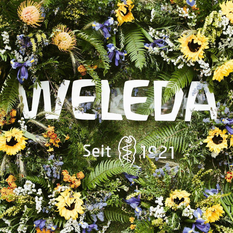 [Australia] - Weleda Mama and Baby Essentials 3-Piece Set, Baby Calendula 2-in-1 Shampoo and Body Wash, Baby Calendula Comforting Body Lotion, Skin Food Mama and Baby Set 1 Count (Pack of 1) 