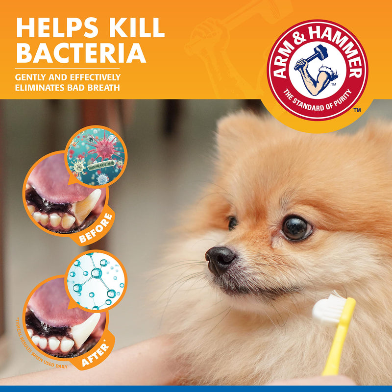 Arm & Hammer for Pets Combo Pack Dog Dental Tartar Control Water Additive and Fresh Breath Vanilla Ginger Enzymatic Toothpaste | Includes 16 Oz Dog Water Additive and 2.5 oz Dog Toothpaste - PawsPlanet Australia
