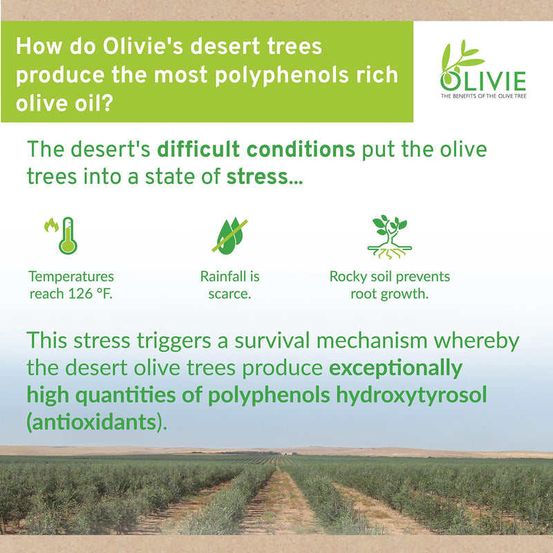 [Australia] - Olive Leaf and Fruit Extract PowerUp Pearls by OLIVIE | Organic Polyphenols Supplement | Moroccan Desert Olive Oil Pearl Scrub for Skin | Antioxidant Immune System Booster | 340g Jar 340 grams 