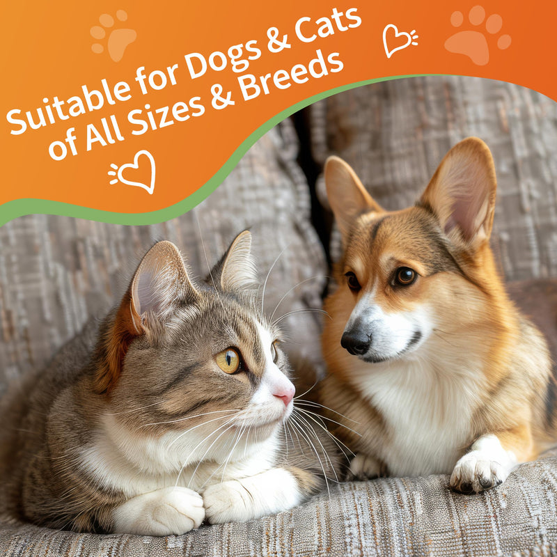 6-in-1 Kidney Support for Dogs & Cats – Promotes Healthy Kidney Function, Energy Levels & Fluid Balance – Veterinarian Formulated Herbal Supplement with Vitamin B2 & B6 – 2 fl oz (59 ml) - PawsPlanet Australia