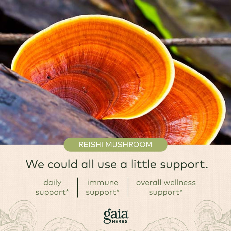 [Australia] - Gaia Herbs Everyday Immune Mushrooms&Herbs-Immune Support Supplement to Help Aid Overall Wellness* -with Turmeric Curcumin, Astragalus, Cordyceps, and Chaga Mushrooms-60 Vegan Capsules(30-Day Supply) 