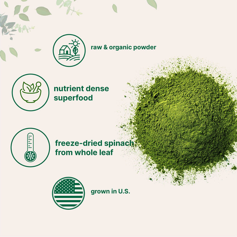 Sustainably US Grown, Organic Spinach Powder, 1 Pound, Freeze Dried from Whole Leaf, Rich in Beneficial Thylakoids and Chlorophyll, Contains Multivitamins, Non-GMO, Vegan Friendly
