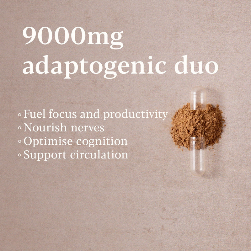 Higher Nature - Lion's Mane & Ginkgo - for High Performance Days - True Food® Formula - High Strength Ginkgo Biloba 6000mg & Lion's Mane Mushroom 3000mg - Vegan Formula - 30 Capsules