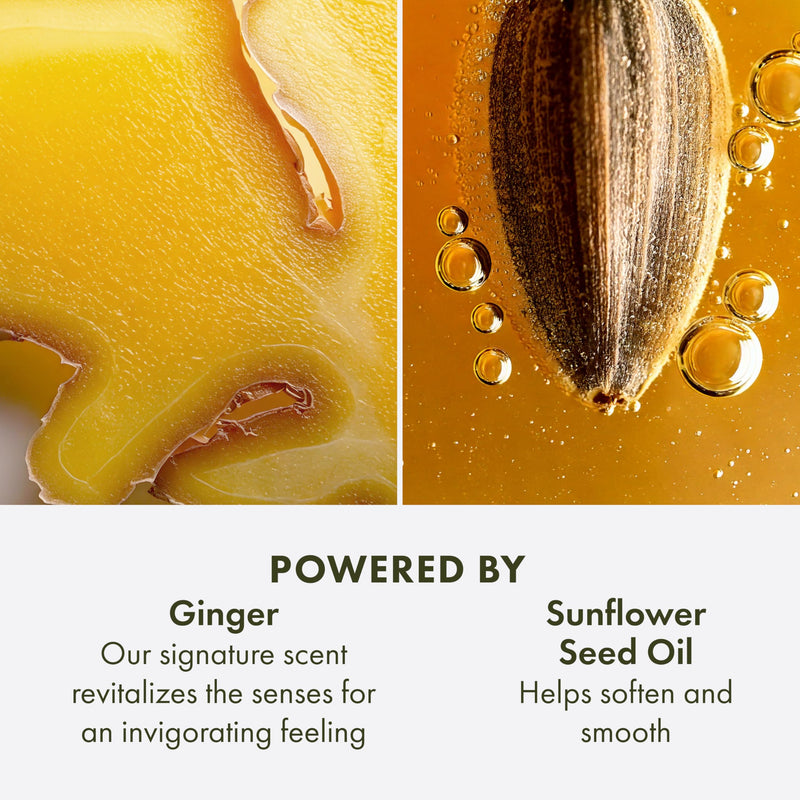 Origins Ginger Hand & Body Lotion for Dry Skin | Hydrates & Softens | With Vitamin E & Aloe Vera 2.5 Fl Oz - Mini Travel Size