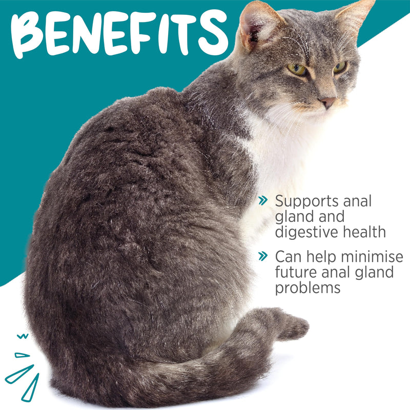 maxxiscoot Anal Gland & Digestive Health Support for Cats - Powder Supplement, 3.2oz - PawsPlanet Australia