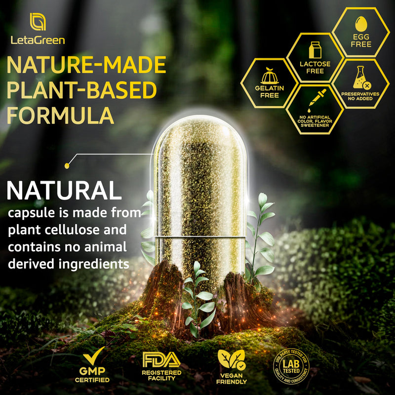 Sea Moss Capsules – 17-in-1 Blend with Black Seed Oil Ashwagandha Bladderwrack Burdock Root Turmeric Vitamin D3 K2 C for Daily Wellness – Multimineral Supplement for Men & Women – 120 Count Sea moss 120 Count (Pack of 1)