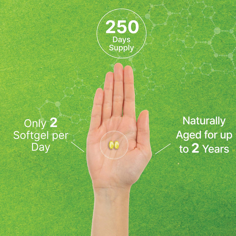 [Australia] - DEAL SUPPLEMENT Odorless Aged Garlic Pills, 6,000mg Per Serving, 500 Softgels – 24:1 Garlic Oil Extract – Fresh Allium Sativum Bulb Source – Heart & Immune Antioxidant Supplements – Non-GMO 