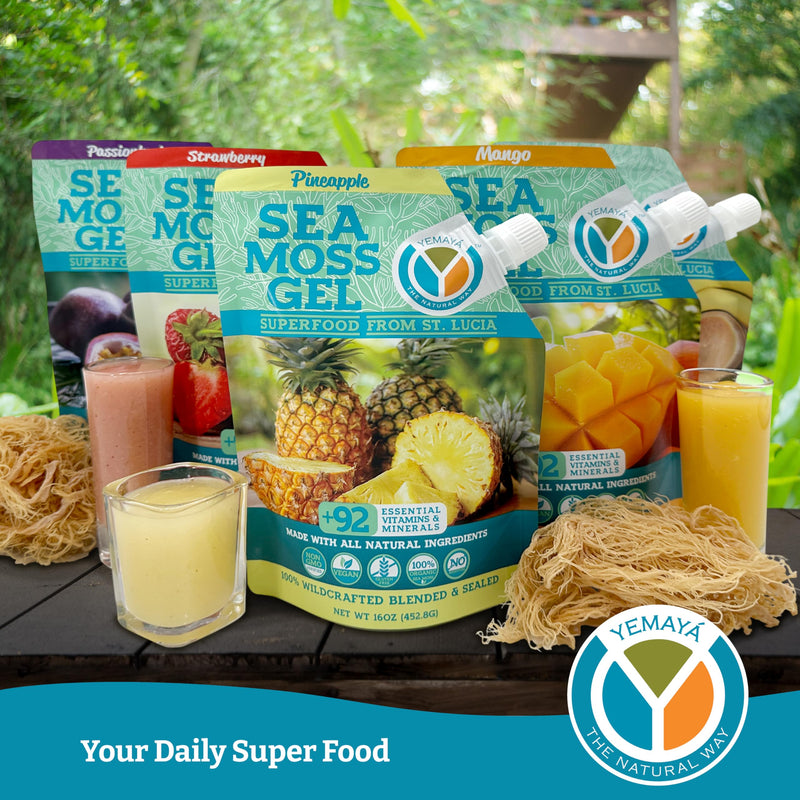Yemayá Organic Sea Moss Gel Organic Raw | Wildcrafted Seamoss Gel Enhanced with Real Fruit, Supports Immunity, Energy, Digestion, Hair, Skin & Nails | 16 oz, Strawberry Flavor | Wildcrafted sea moss gel with real strawberry for immune and gut health su...