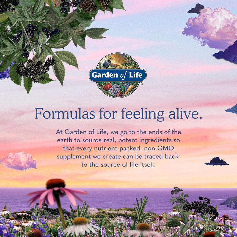 Garden of Life Vitamin Code Raw B-12 - 30 Capsules, 1,000mcg Whole Food B12 Methylcobalamin for Energy, Vegan Methylcobalamin Vitamin plus Probiotics and Enzymes, Gluten Free Supplements 30 Count (Pack of 1)