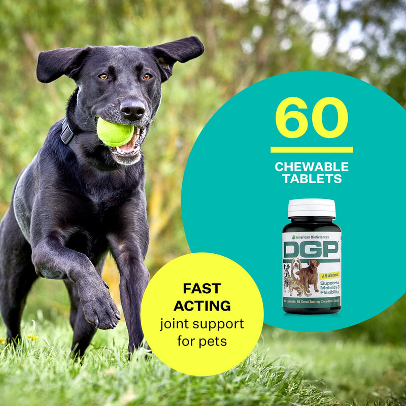 DGP, All-Natural Joint Supplement for Dogs - Joint Support with Turmeric, Boswellia Extract & More - Quick Effect for Immediate Mobility Support - 60 Chewable Pet Tablets - PawsPlanet Australia