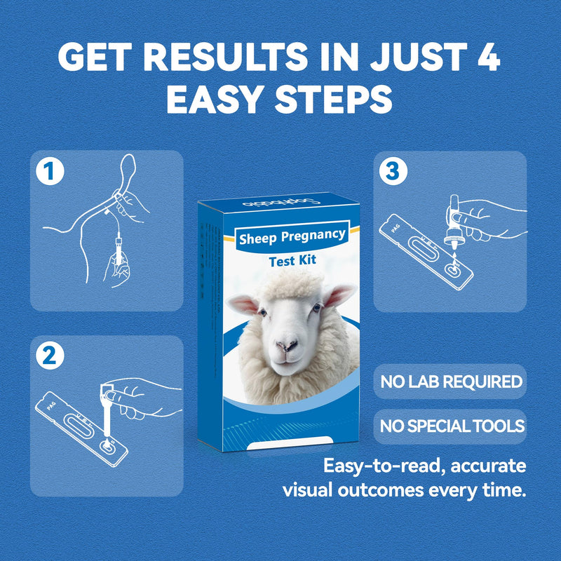 Sheep/Ovine/Goat Early Pregnancy (PAGs) Rapid Test Kit - 2 Tests, Hormones (PAGs), Whole Blood/Serum/Plasma Testing, Detect Pregnancy as Early as 28 Days Post-Breeding