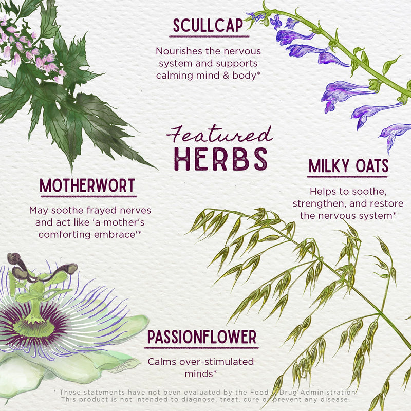 WishGarden Herbs Emotional Ally, 6-Herb Mood & Grief Support Tincture, 2oz | St. John's Wort, Passion Flower, Skullcap, Motherwort & Milky Oat, Eases Nervous Tension, Non-GMO, Vegan, Gluten-Free 2 Fl Oz (Pack of 1)