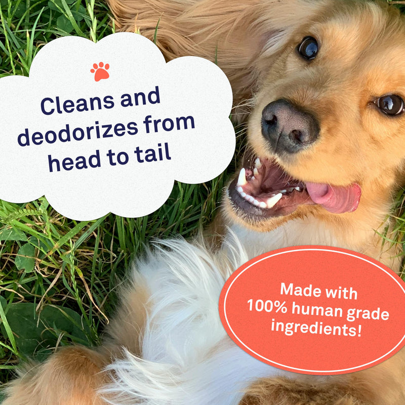 Petpost | Grooming Wipes for Dogs - Large, Deodorizing Wipes with Cherry Blossom Scent - 70 Ultra Soft Cotton Pads in Cleansing Solution - Cherry Blossom Scent 70 ct. - PawsPlanet Australia