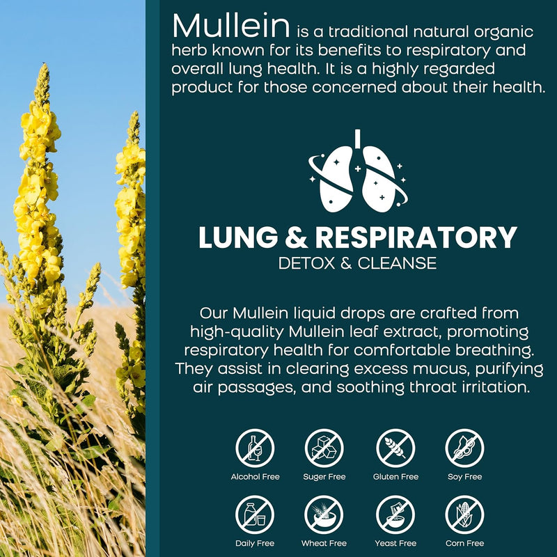 [Australia] - 5-in-1 Mullein Drops for Lungs - Mullein Leaf Extract for Lungs Detox and Respiratory Lung Health - Mullein Tincture with Elderberry, Marshmallow & Ginger Root for Bronchial Support - 60 Servings 